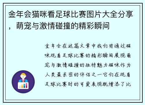 金年会猫咪看足球比赛图片大全分享，萌宠与激情碰撞的精彩瞬间